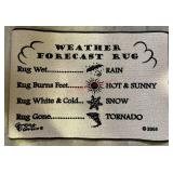 WEATHER FORECAST RUG(ROW C)