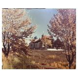 Vtg 20in Print on :Wood            (Row A Table)