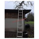 Extendable roofing ladder.  (Outside garden shed)