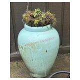 Tiffany blue Large Flower Pot with plant