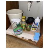 Bathroom cleaning supplies (master bedroom)