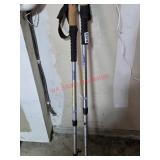 Synergy Walking Poles (Garage)