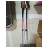 Black Diamond Walking Poles (Garage)