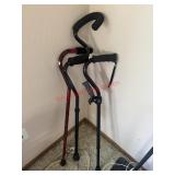 lot of 4 Canes              (Living Room)