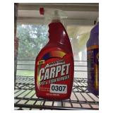 NEW Carpet Cleaner  (Garage)