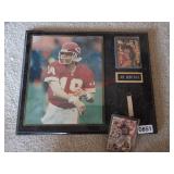 Joe Montana  (Upstairs Master)