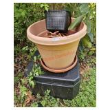 Planter and more- by door under house