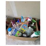 Assorted Chemicals (Garage)