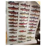 two laminated Fish Posters              (Kitchen)