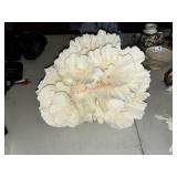 white sea coral fossil Coastal decor ( first