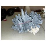 Decorator blue ridge coral specimen( first living