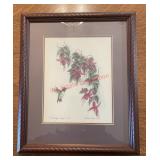 Hummingbird and bleeding hearts drawing (Dinning