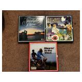 Vinyl records (first living room )