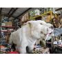 Conway: Clayslist Auction