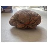 This Brain Rock                       (House 2