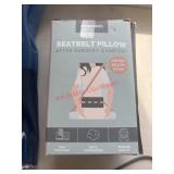 Seatbelt pillow                       (House 2