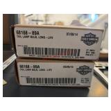 Two Tail Lamp Bulbs Harley Davidson