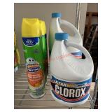 Clorox and Bathroom Cleaner lot     ( Garage