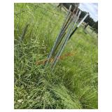 Small Amount of T Posts           (RIght of barn