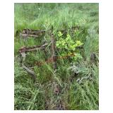 Agriculture Harrow? Needs yanked from weeds YOU