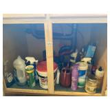 Household Cleaning products (kitchen)