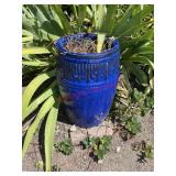Blue Planter pot(backyard)