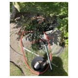 Hoses and other items lot (backyard)