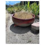 terracotta Sasha planter (Backyard)