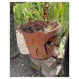 Broken planter and bricks (back yard)