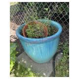 turquoise Planter pot (back yard)