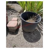 Planter and bricks lot (backyard)