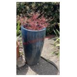 Tall dark blue and black planter (backyard)
