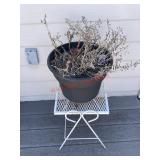 Planter and table (balcony)