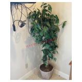 Fake plant (master bedroom )