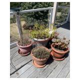 Planters pot (balcony)