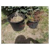 Planters pot(backyard)