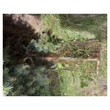 Animal trap (backyard)