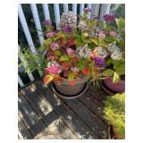 Planter pot(balcony)