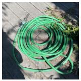 Green hose (balcony)