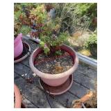 Planter pot (balcony)