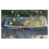 Old plastic planter (balcony)