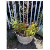 Planter pot (balcony)