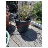 Planter pot (balcony)