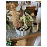 Indoor plant (on top of bar )
