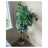 Fake plant (2nd LR)