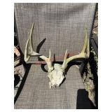 Skull Cap and Horns              (Car Port)