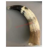 Horn Inscribed 1957                   (Living