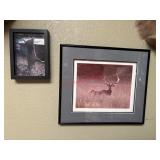 Vintage Framed Photos