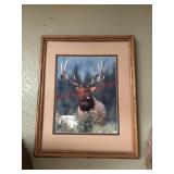 Vintage Framed bull elk photo
