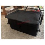 Trunk Organizer           (living Room )